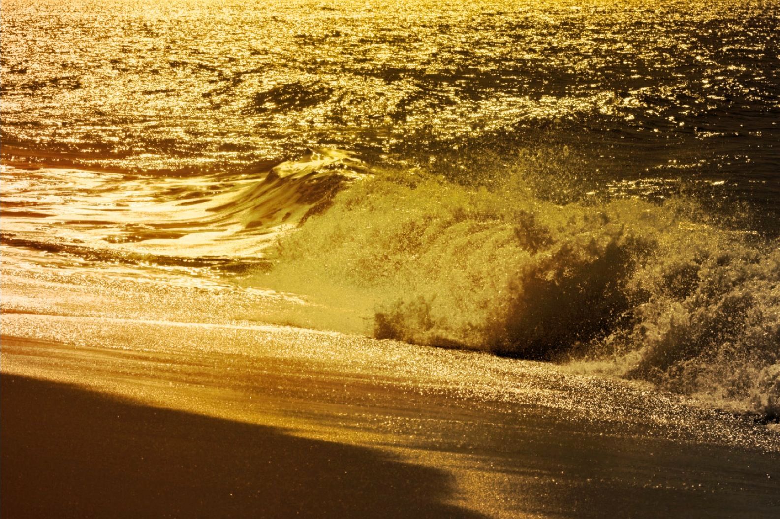 Golden Wave at the Shoreline