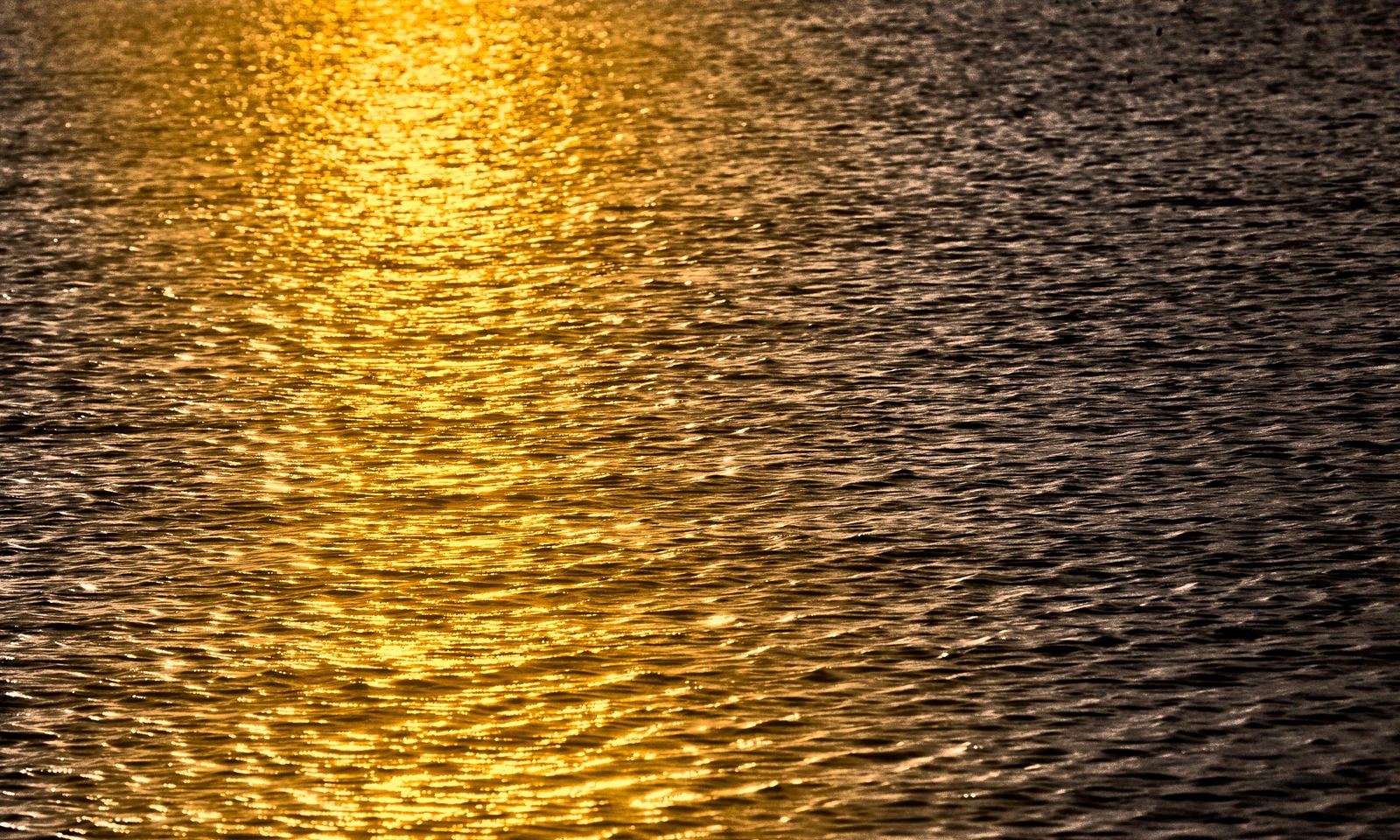 Golden Sepia Atlantic Water 48"x80"