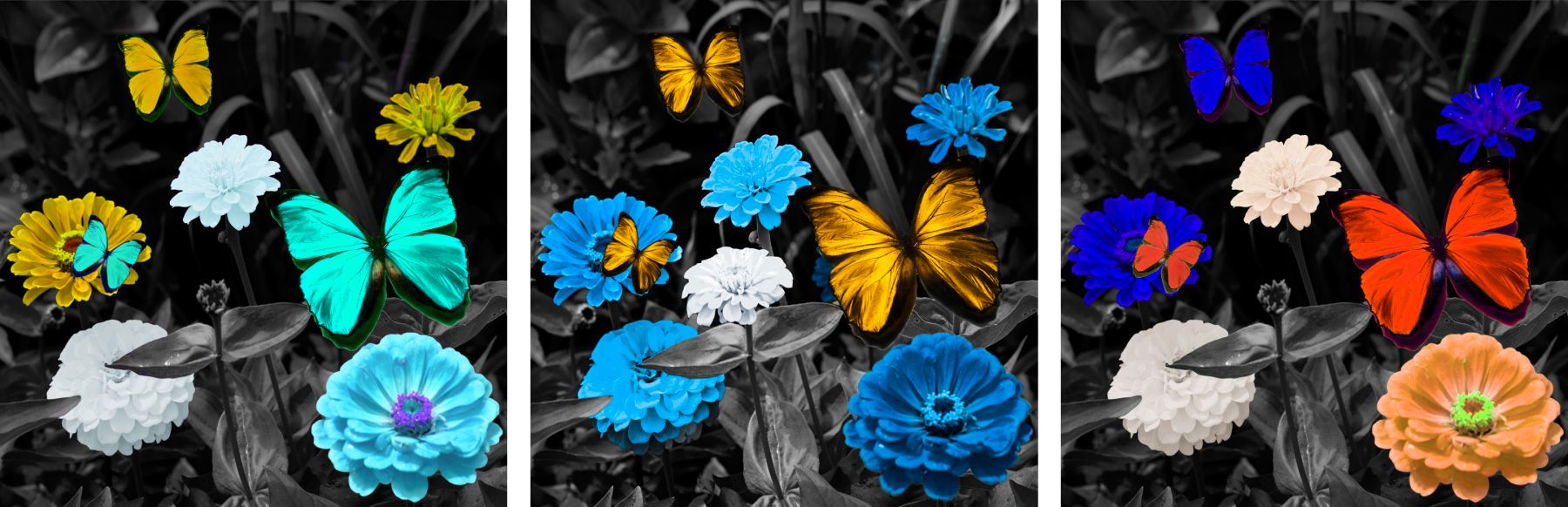 BW Colorful Butterfly Meadow Triptych   