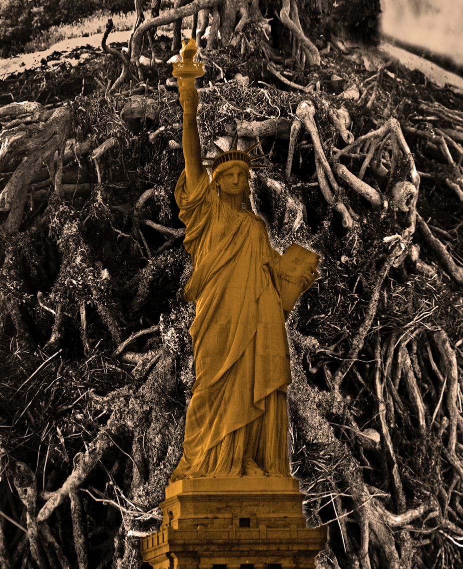 Liberty Roots #1
