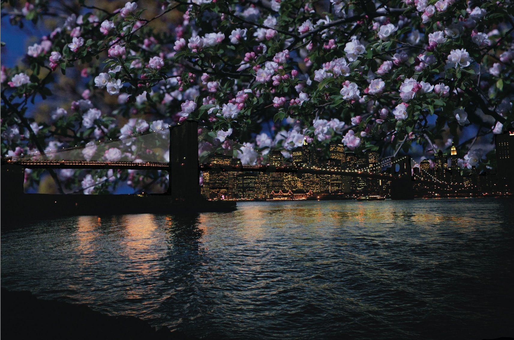 Night Brooklyn Bridge in Bloom