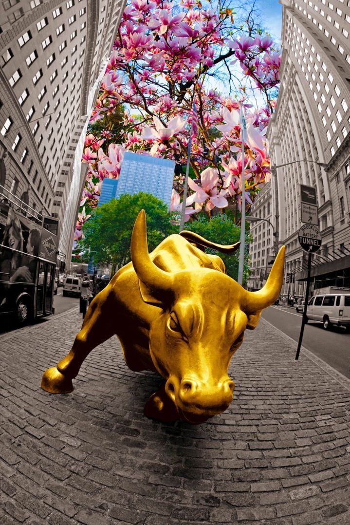 Wall St Bull with Magnolias