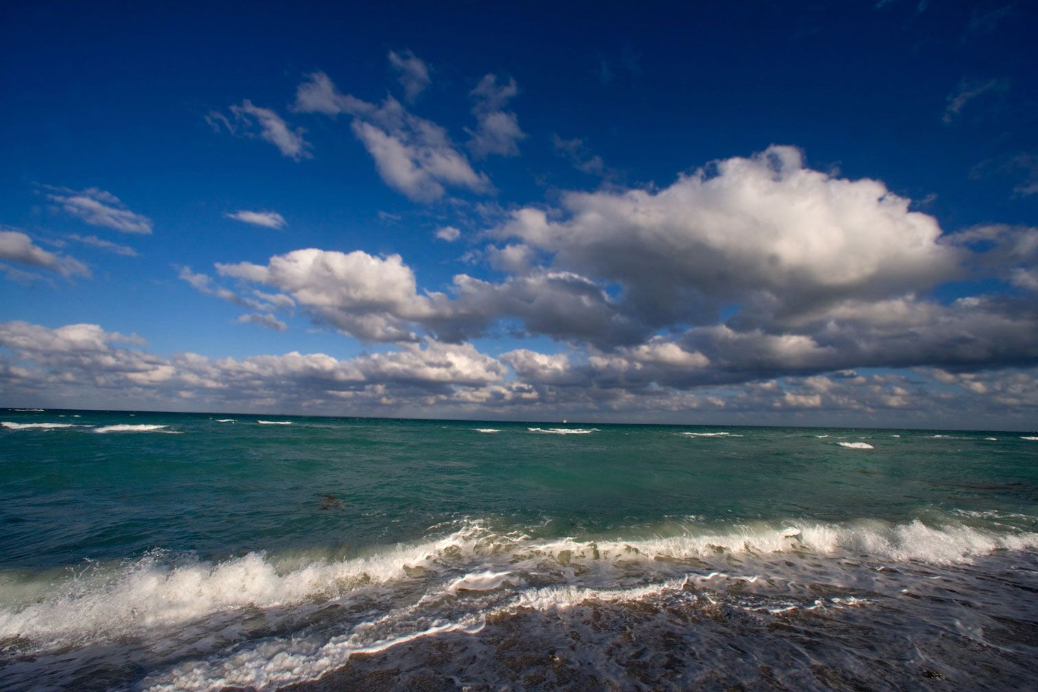 Miami Ocean with Aqua Breaking Waves 43"x65"