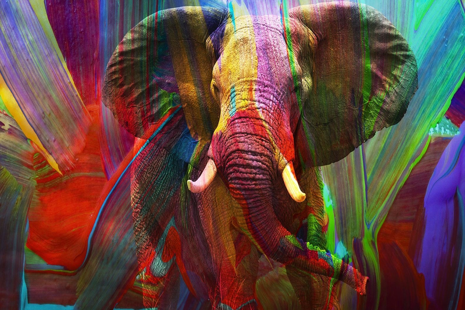Abstract Elephant 