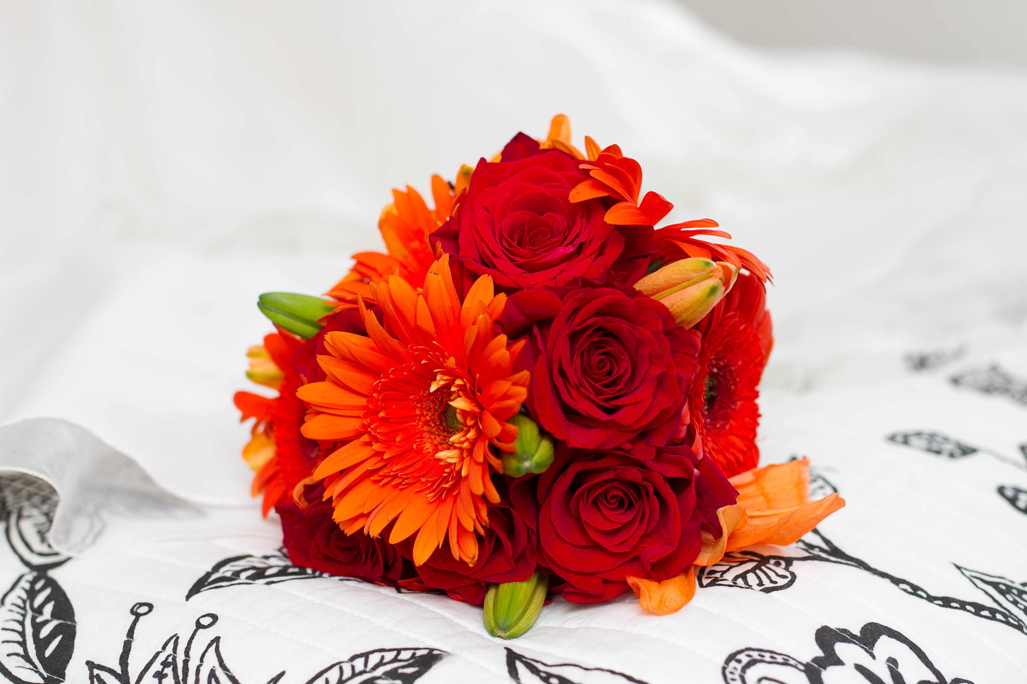 janette-83-of-169.jpg