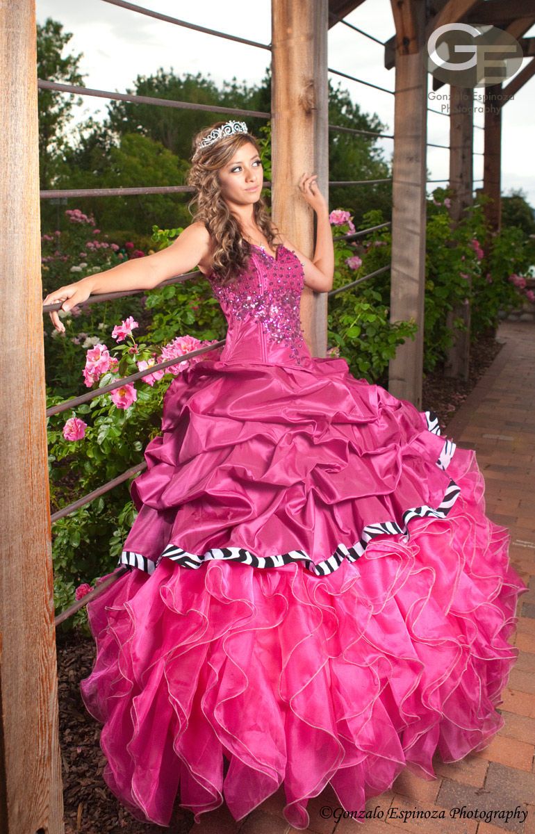 Fotografos en Denver, CO