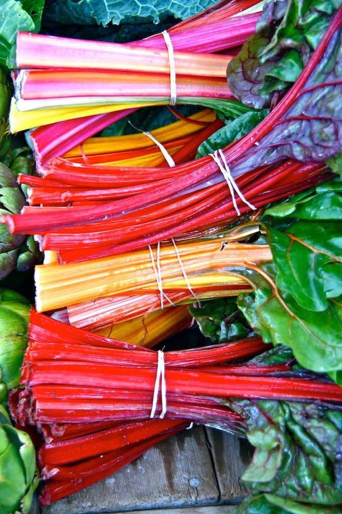 1colorful_chard__1_