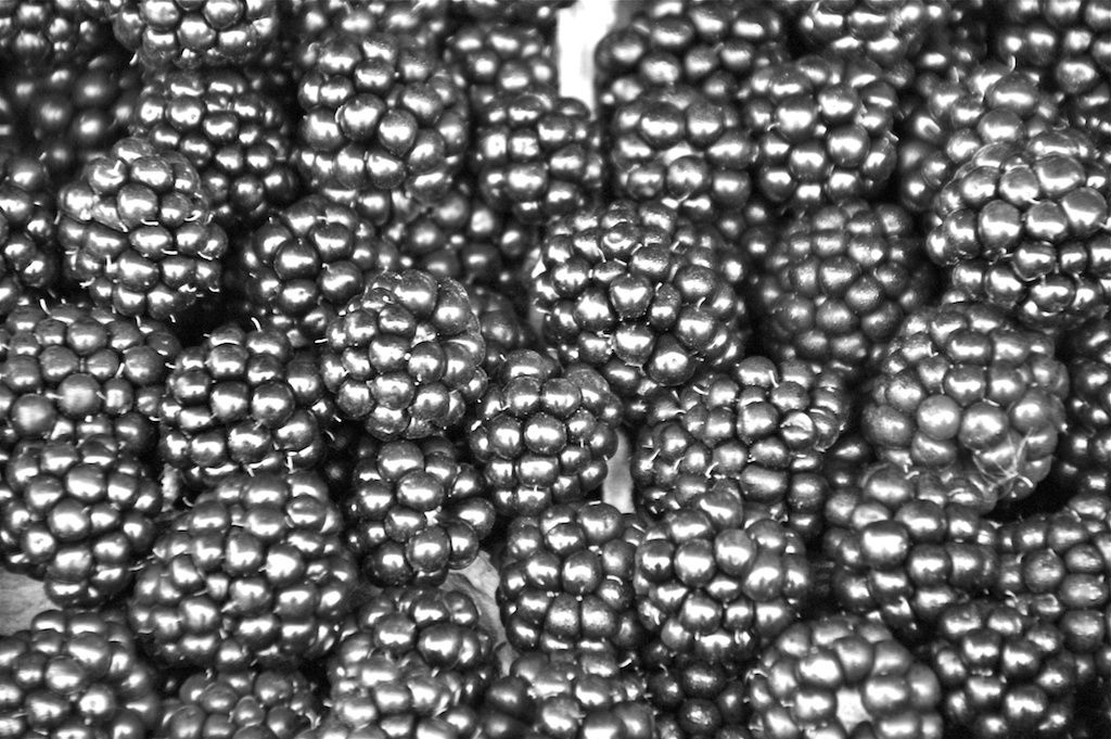 1blackberries_b_w__1_