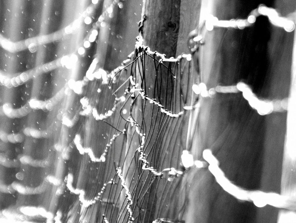 1drippy_fence_b_w
