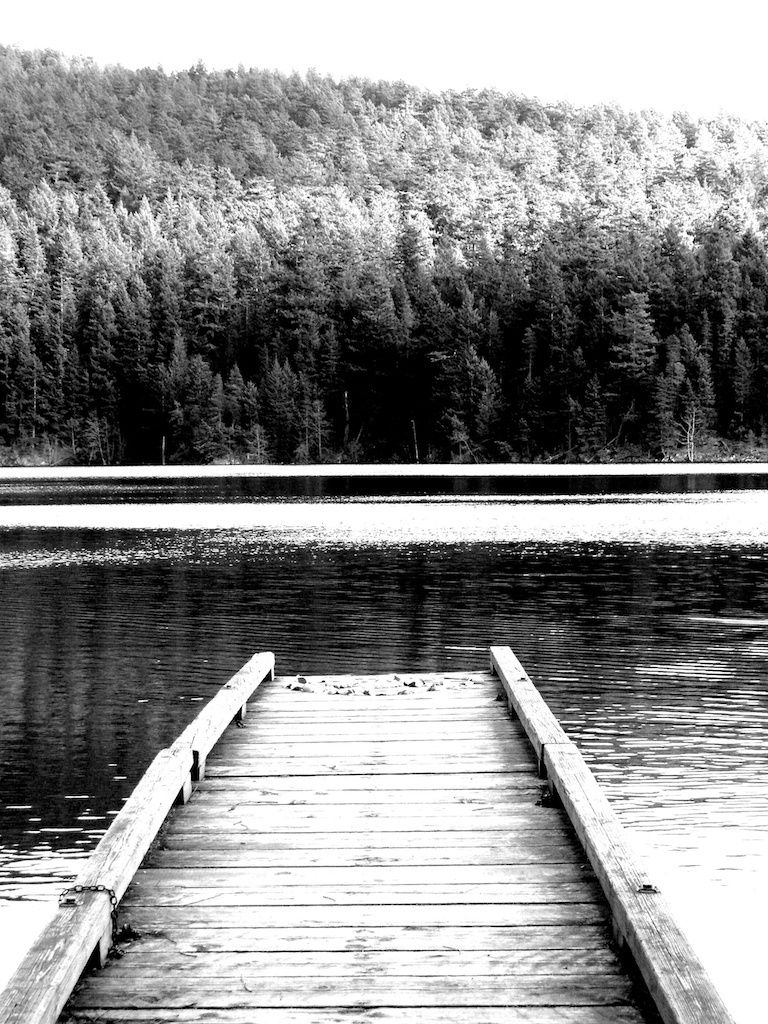 1dock_b_w