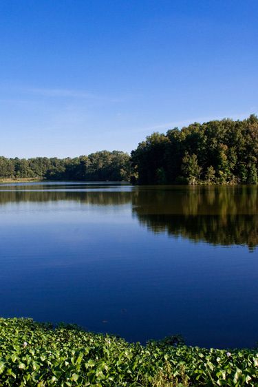 1ChautauquaPark091210_0096