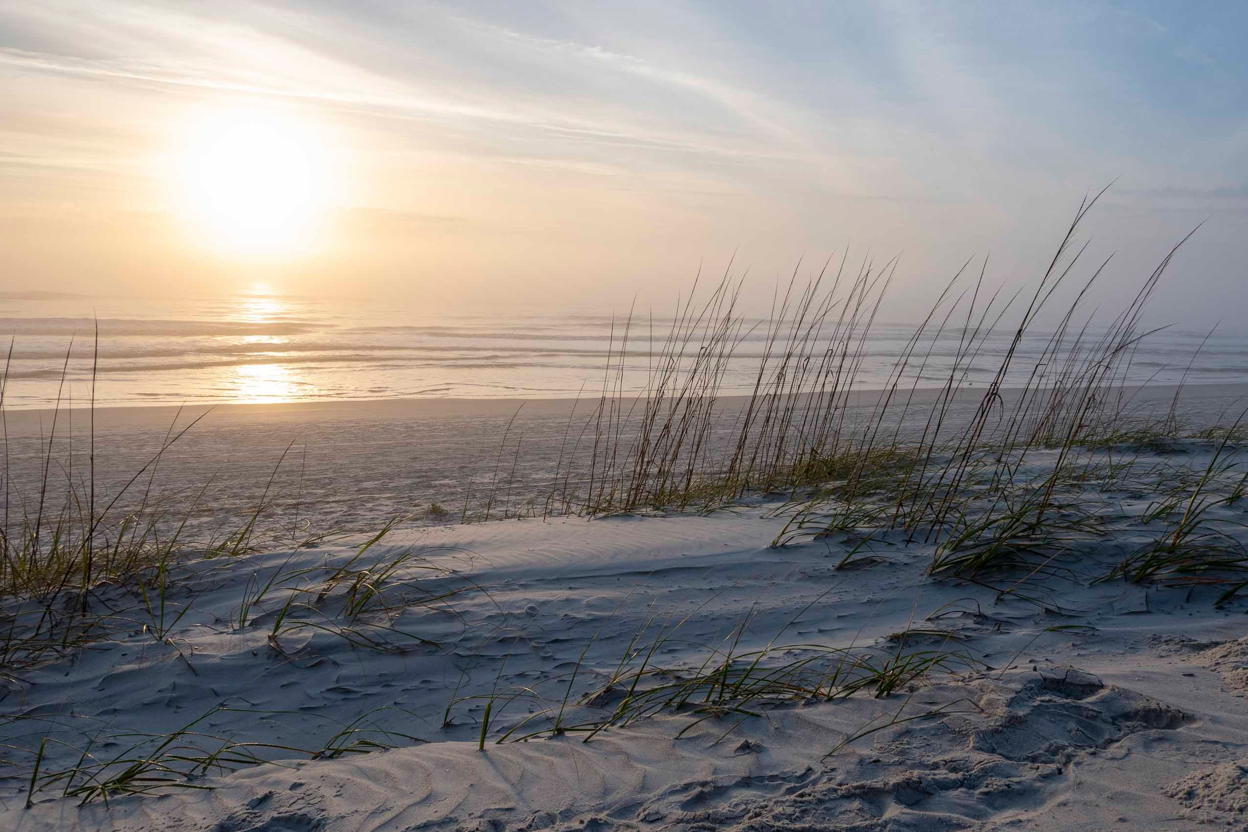 Amelia Island_2021-2084.jpg