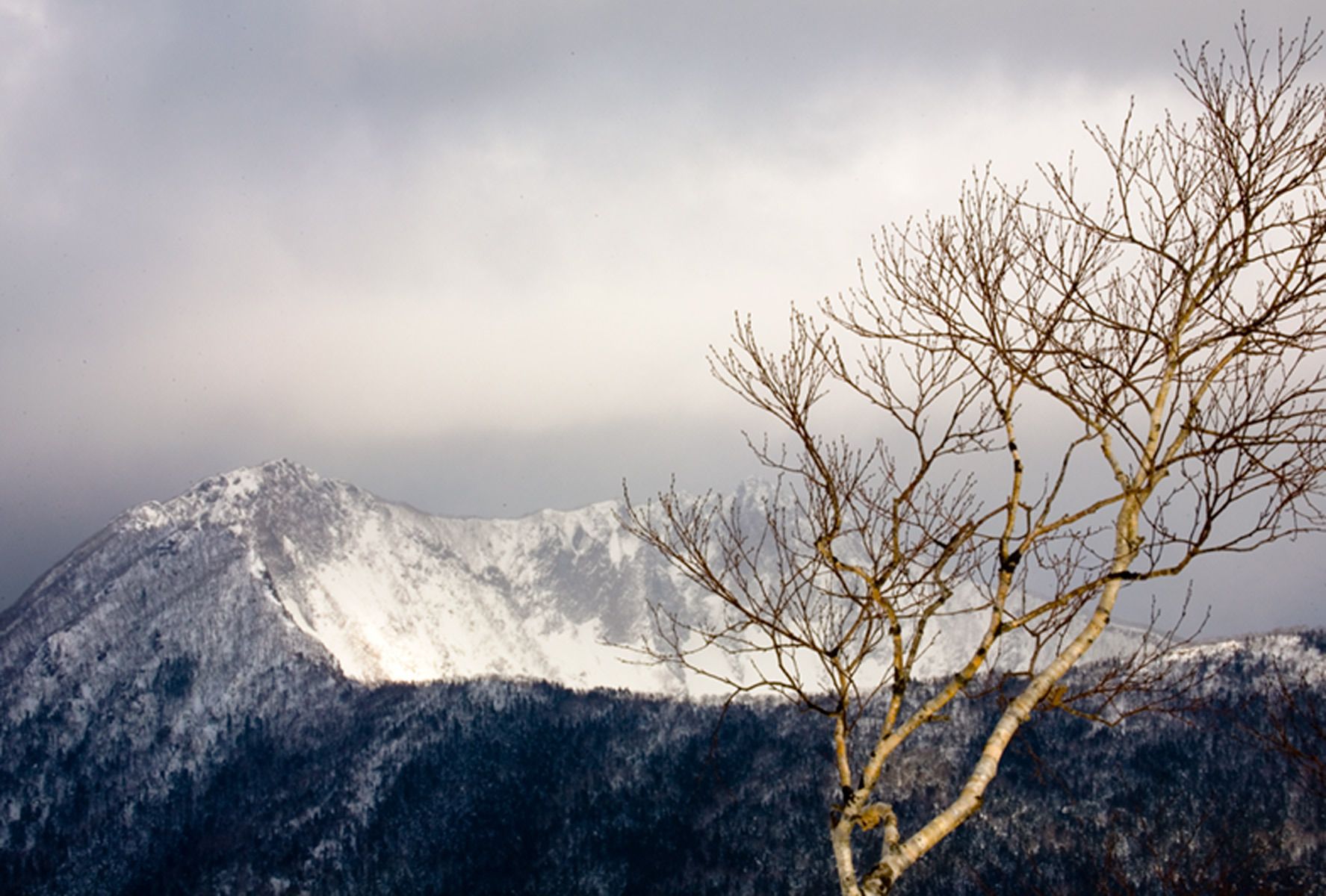Storm clouds over crater lake mountain and birch tree Storm Over Lake Mashu, Hokkaido, Japan