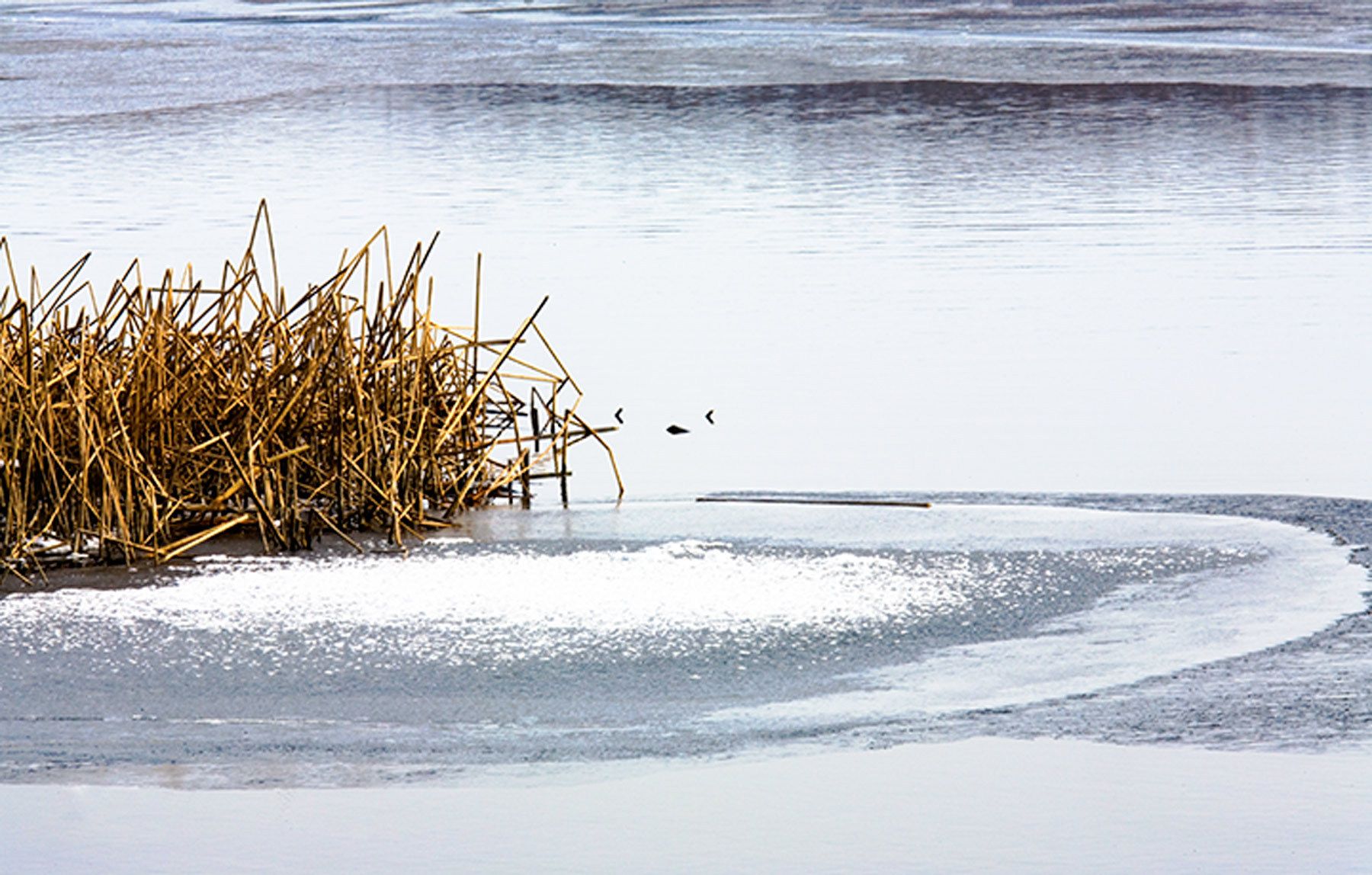 Pattern in ice near Tsurui, Hokkaido, Japan. Ice Pattern III,, Hokkaido, Japan