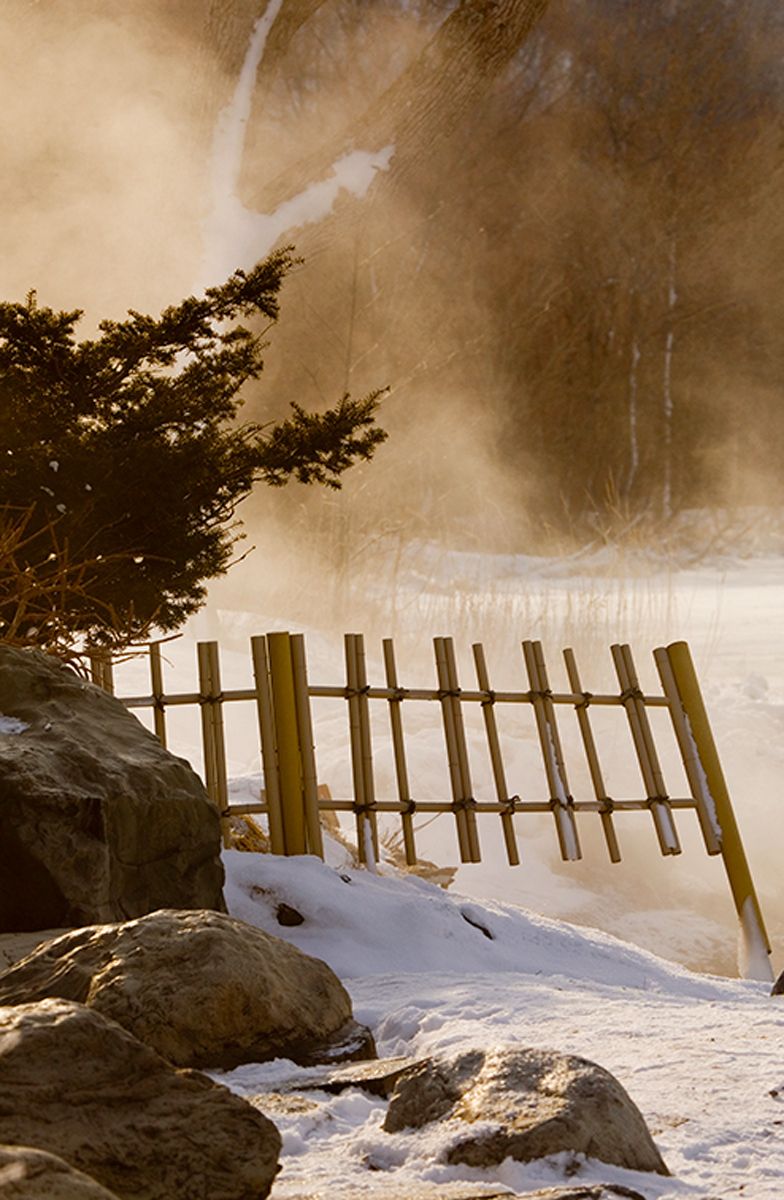 Bamboo fence in the mist on the shores of Lake Kusharo on Hokkaido Island, Japan Bamgoo Fence at Lake Kussharo-Hokkaido, Japan