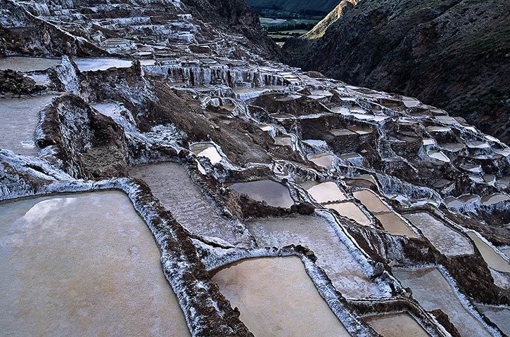 1Salinas_Maras_05_web480.jpg
