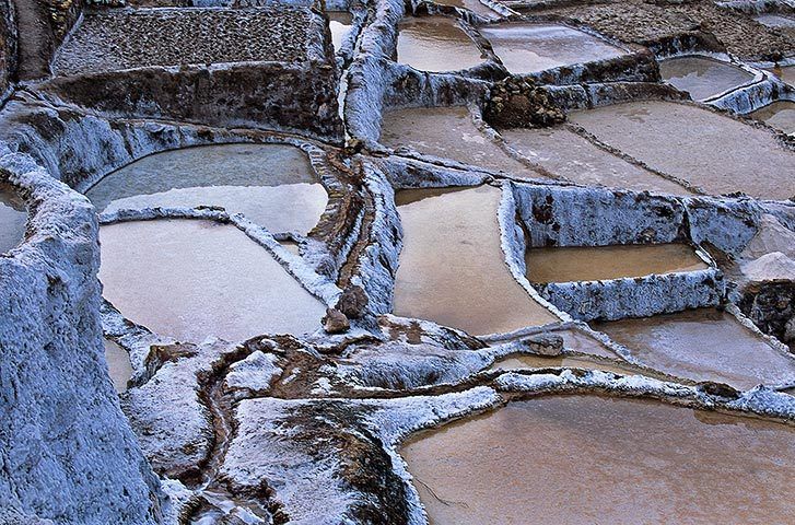 1Salinas_Maras_07_web480.jpg