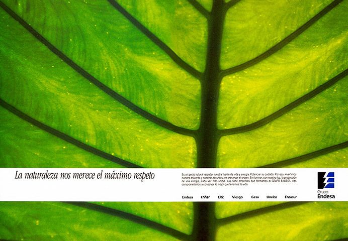 1hoja_endesa_web480.jpg