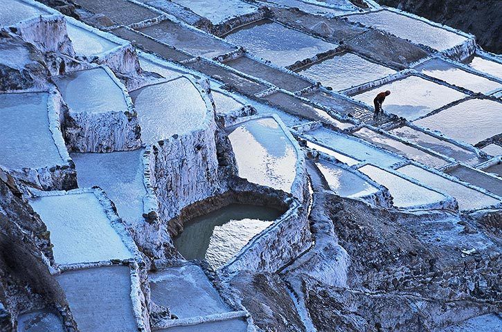 1Salinas_Maras_04_web480.jpg