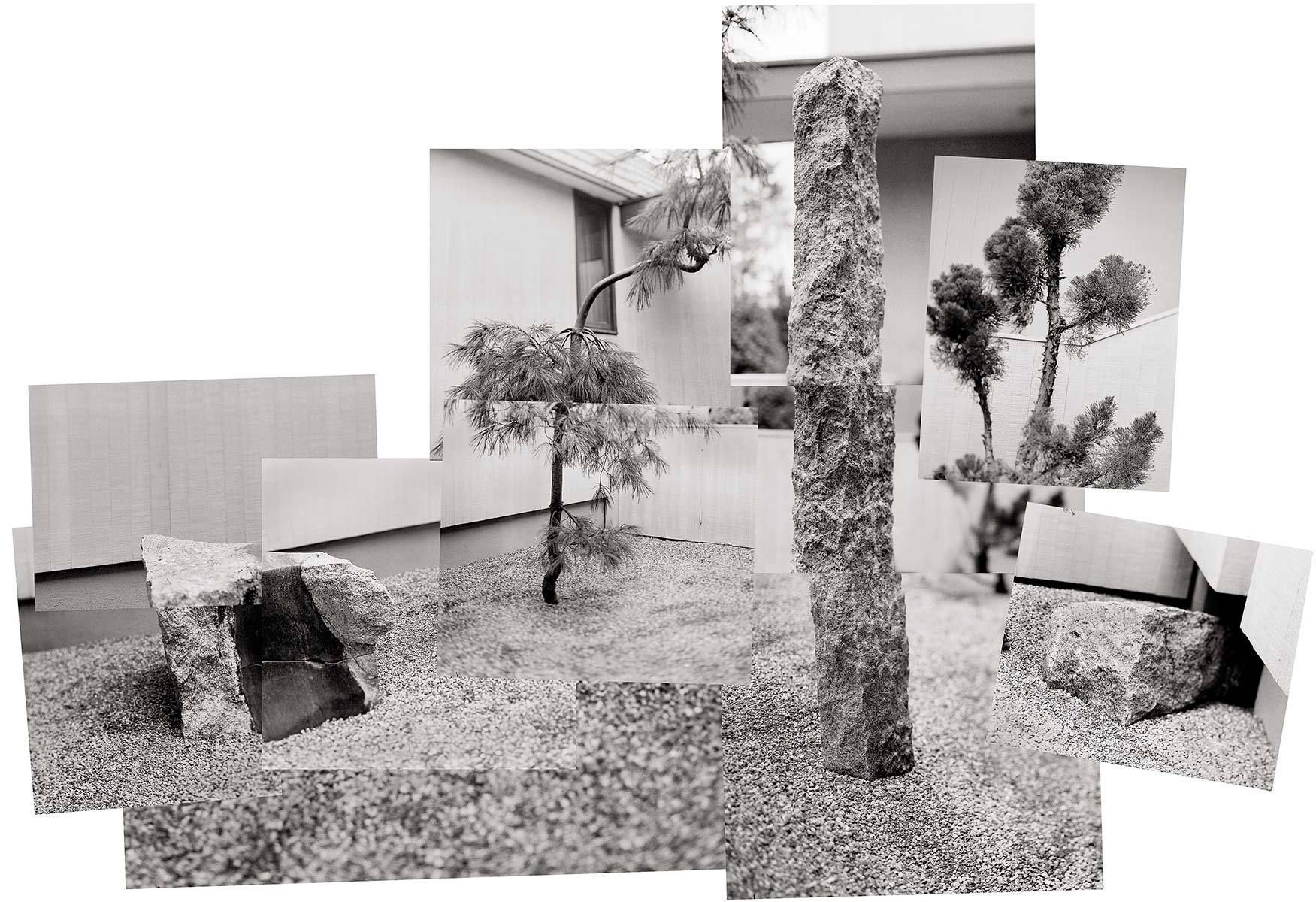 1darryl_s_zen_garden