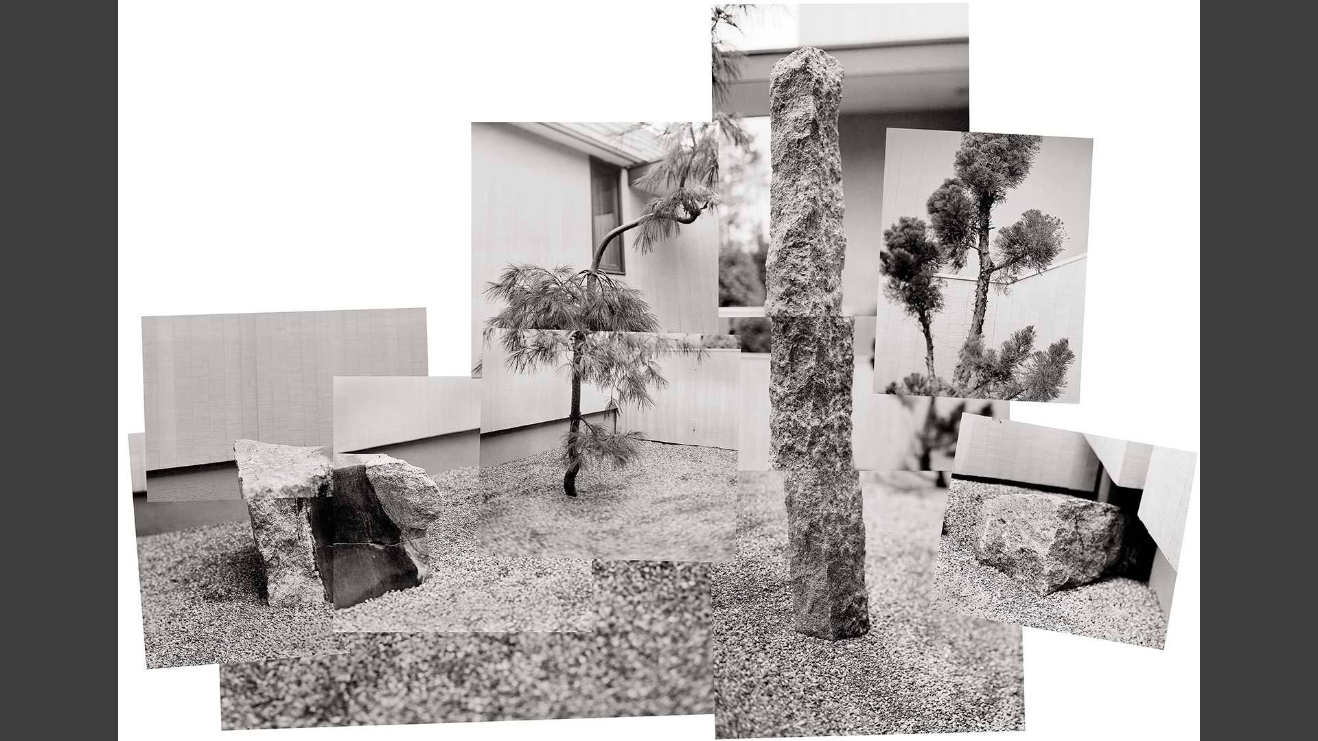 1darryl_s_zen_garden