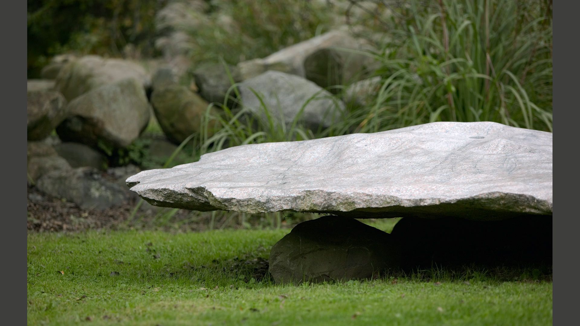 1darrell_orchard_2_000699