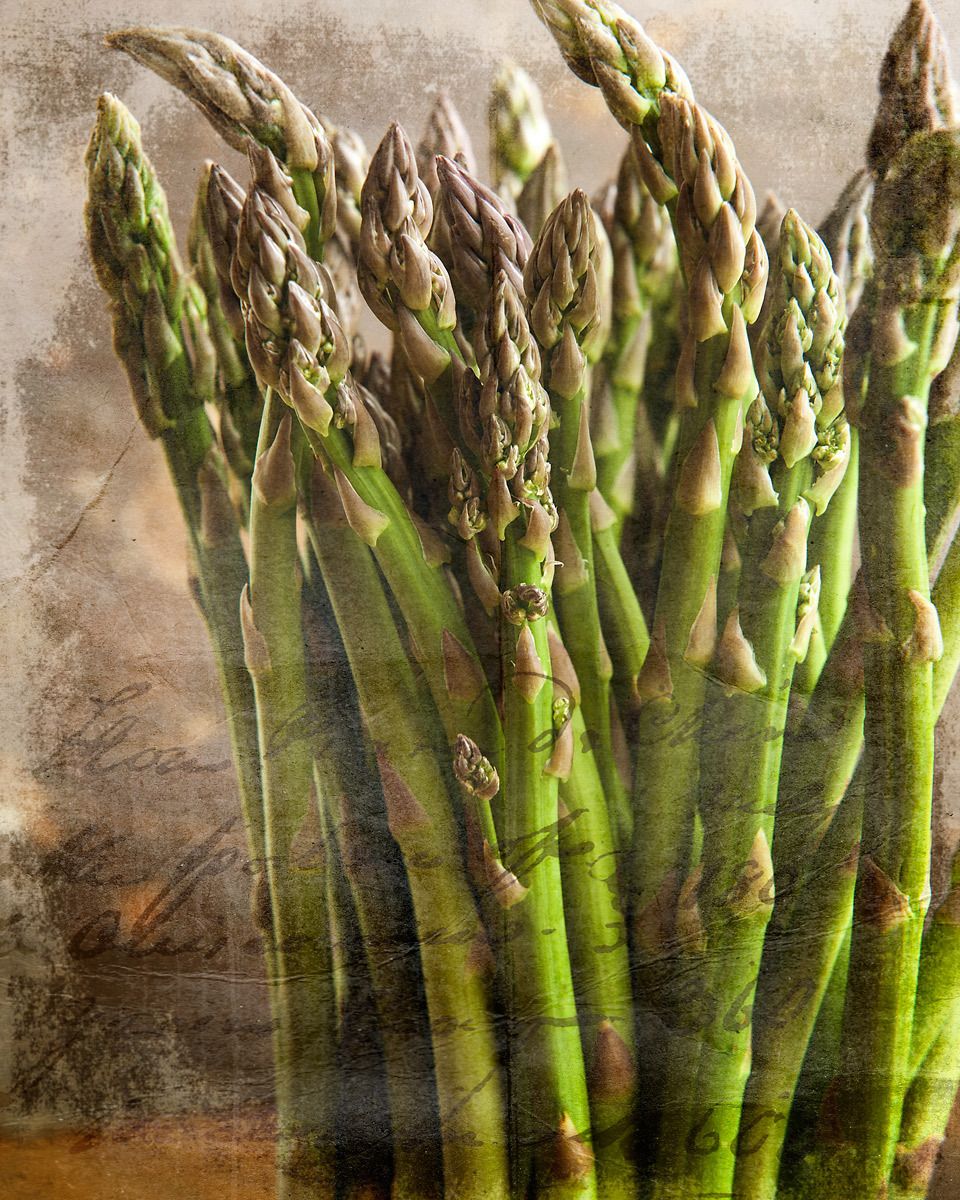 1asparaguslb15