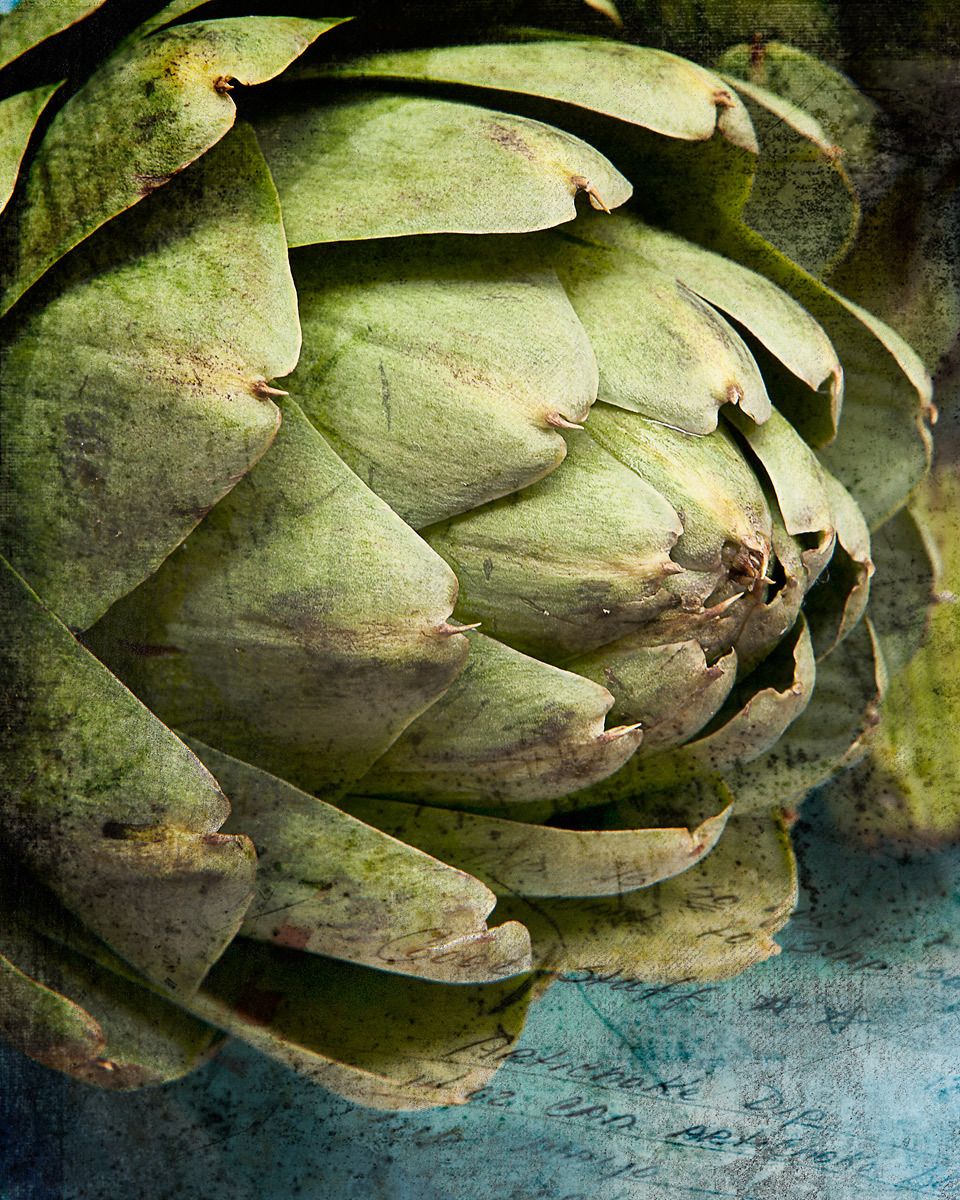 1artichokelb15