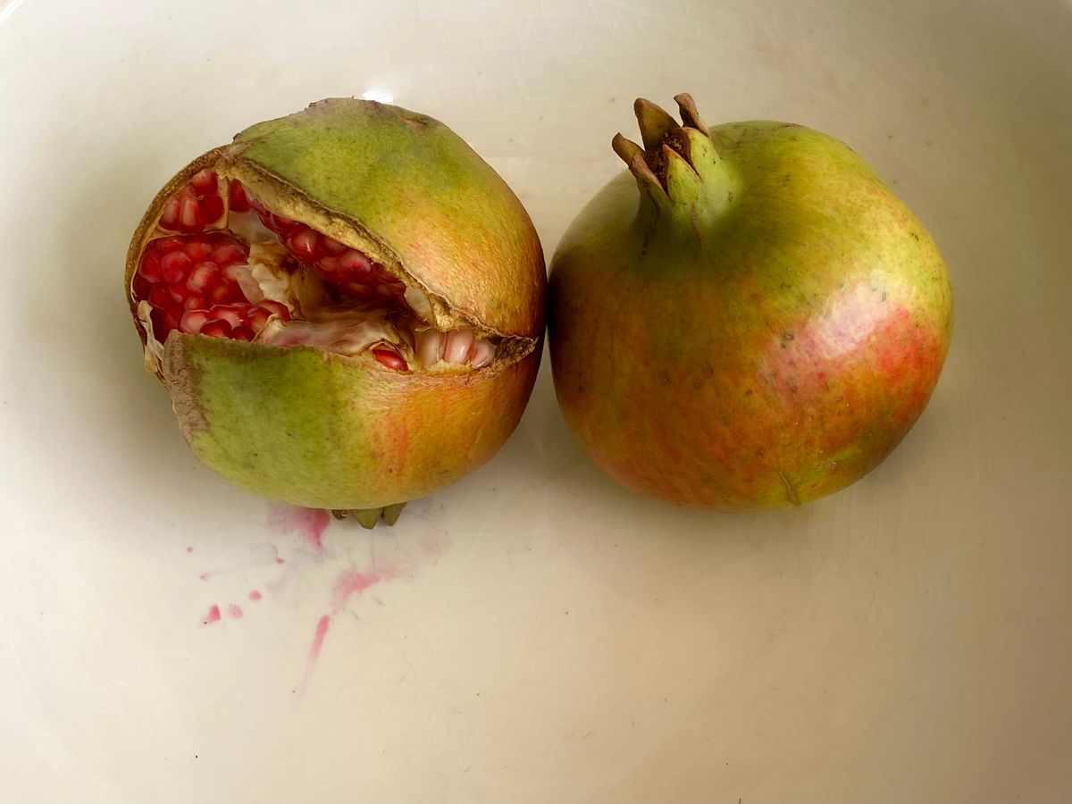 Food5488 copy.jpg