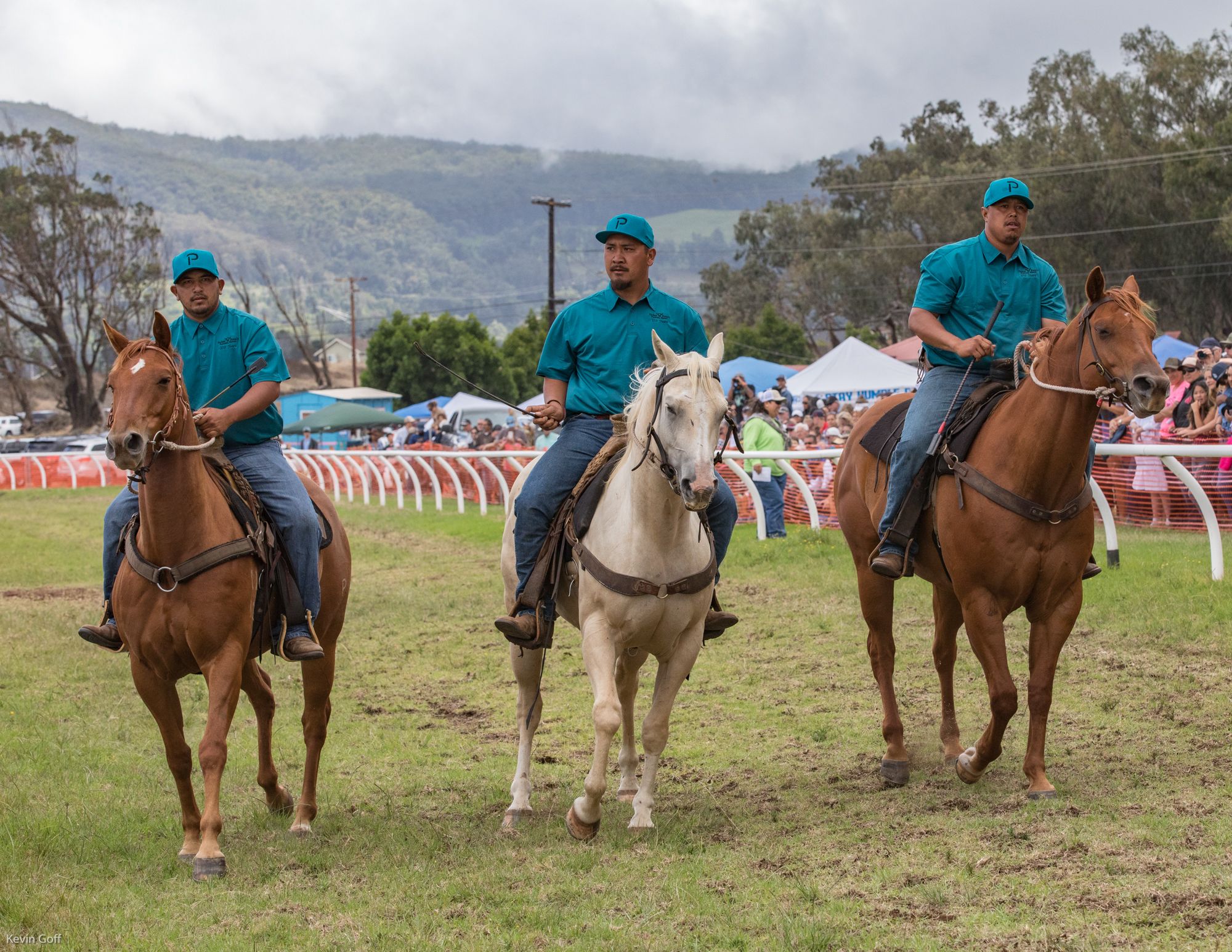 Parker Ranch 2017-0406.jpg