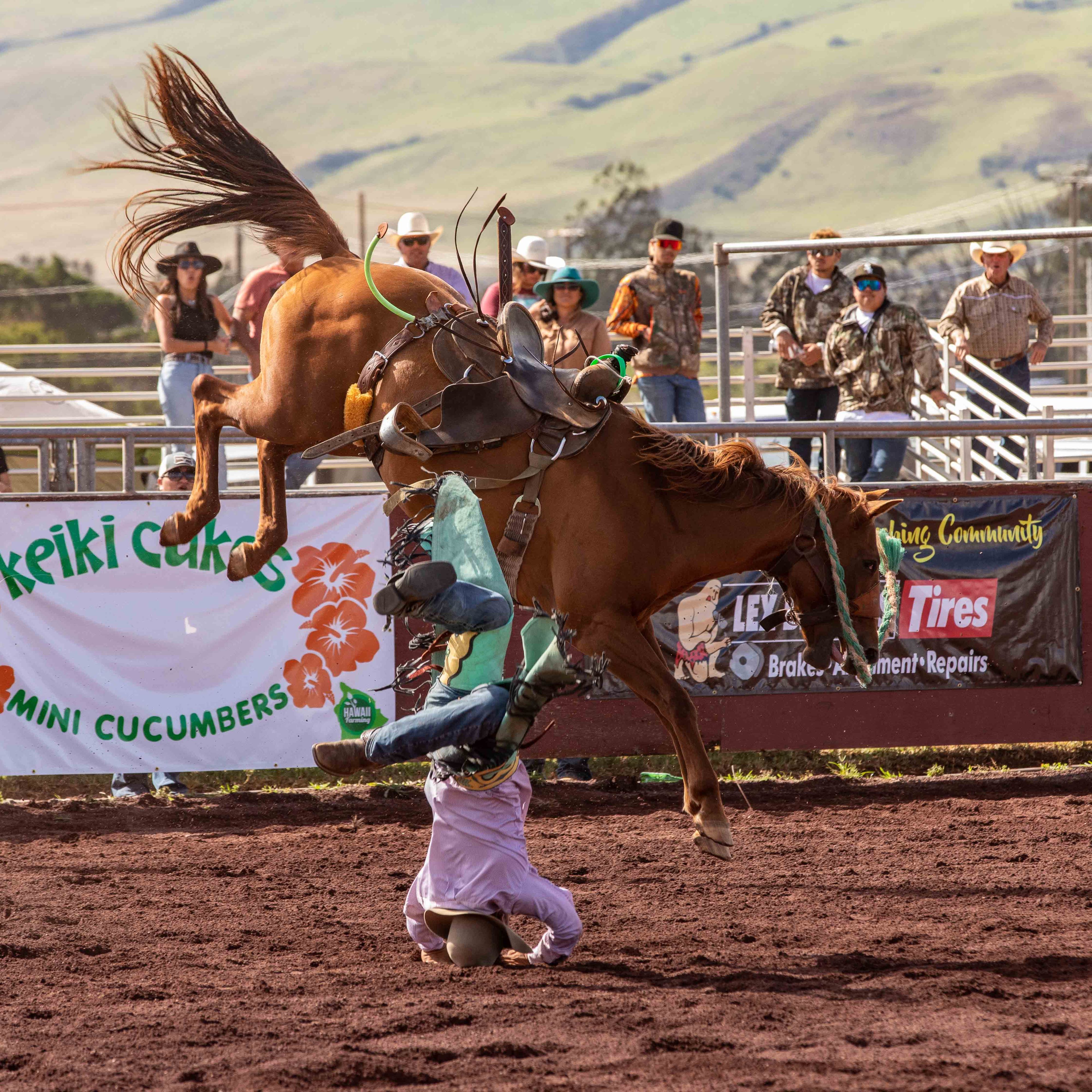 Labor Day 2022 jpegs-178.jpg