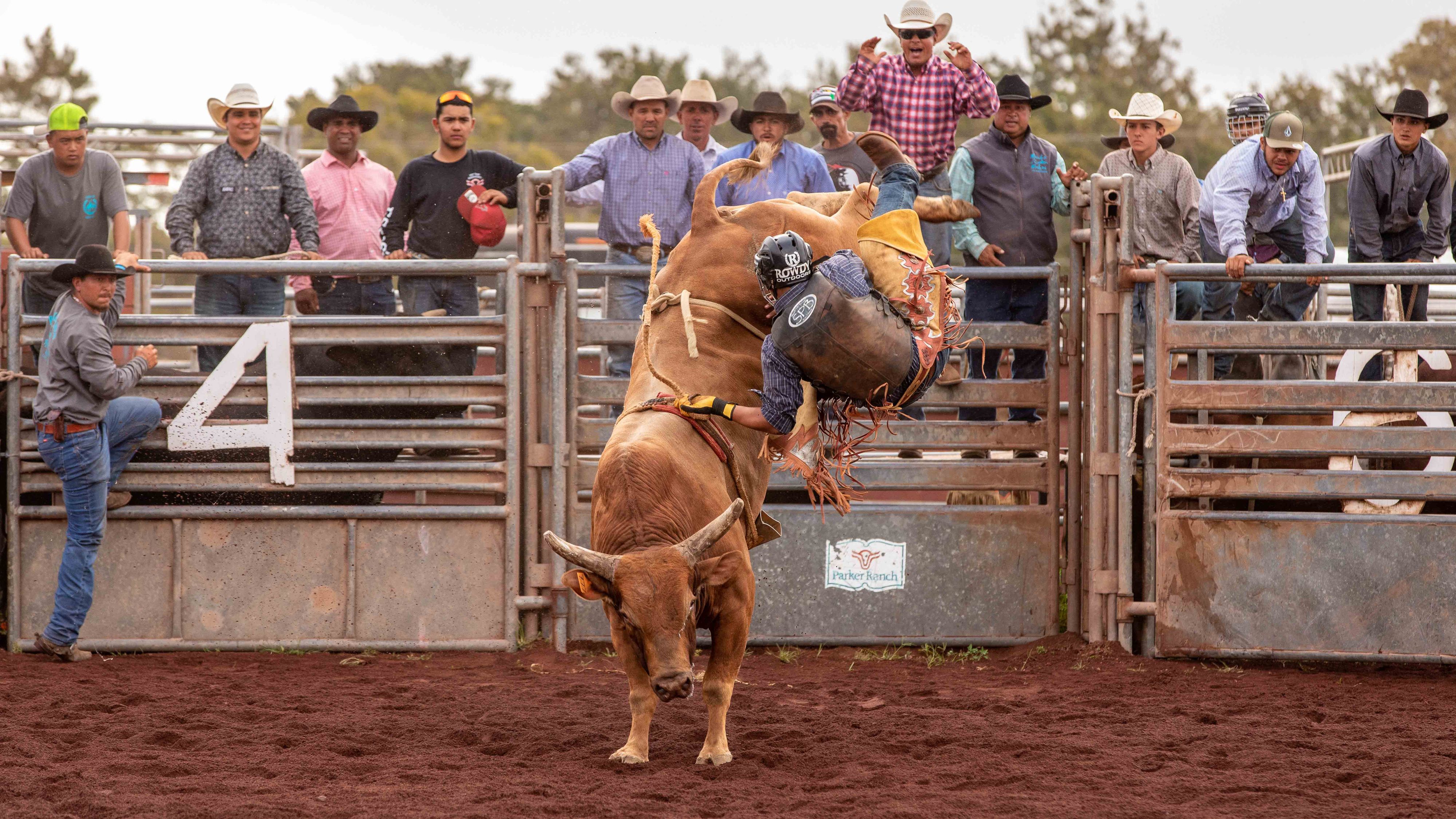 Labor Day 2022 jpegs-90.jpg