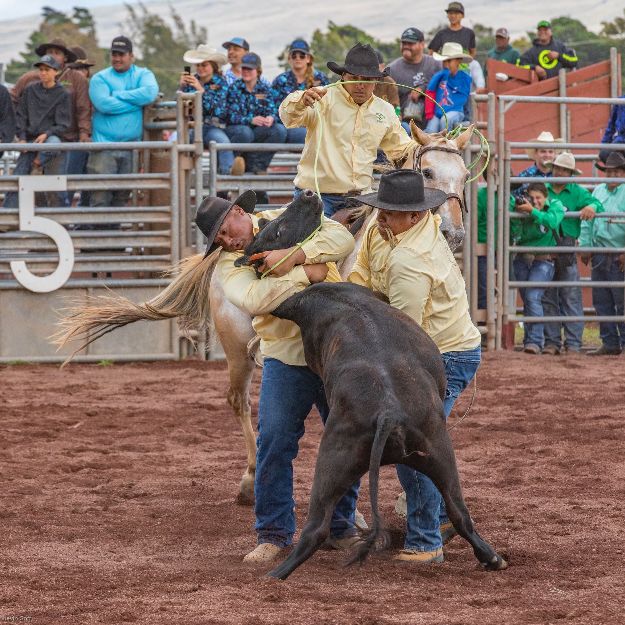 Parker Ranch 2017-0757.jpg