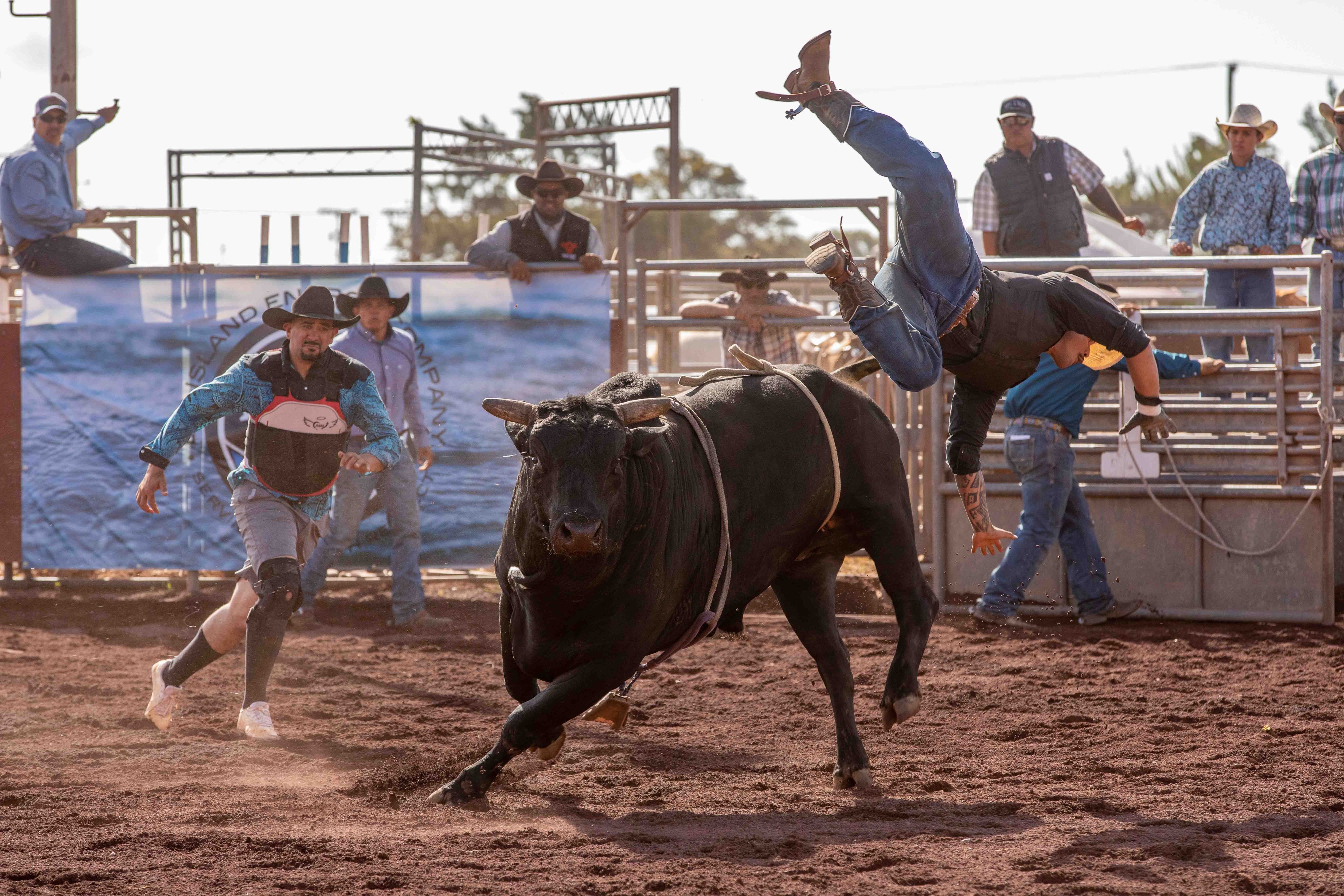 Labor Day 2022 jpegs-191.jpg