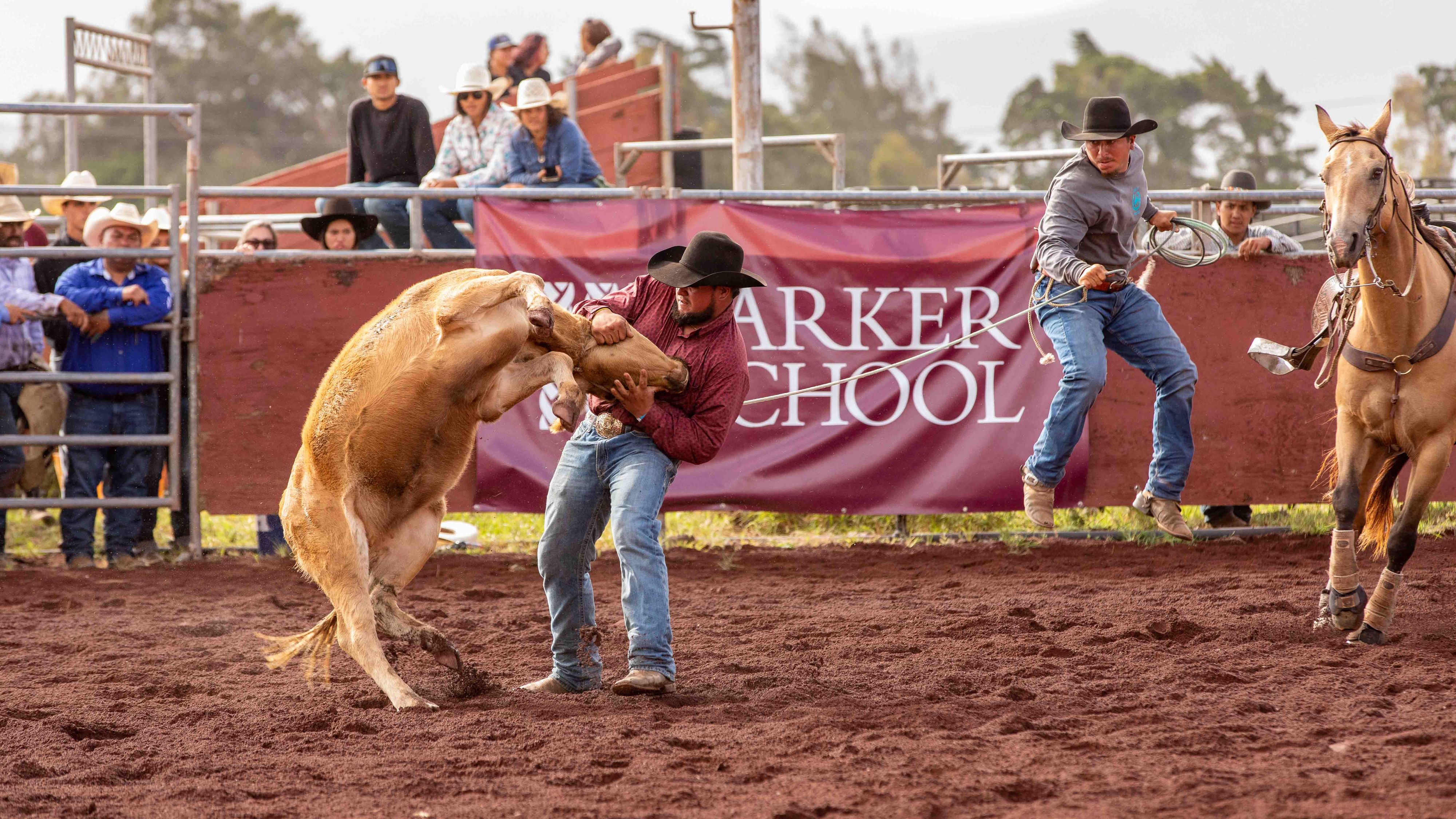 Labor Day 2022 jpegs-86.jpg