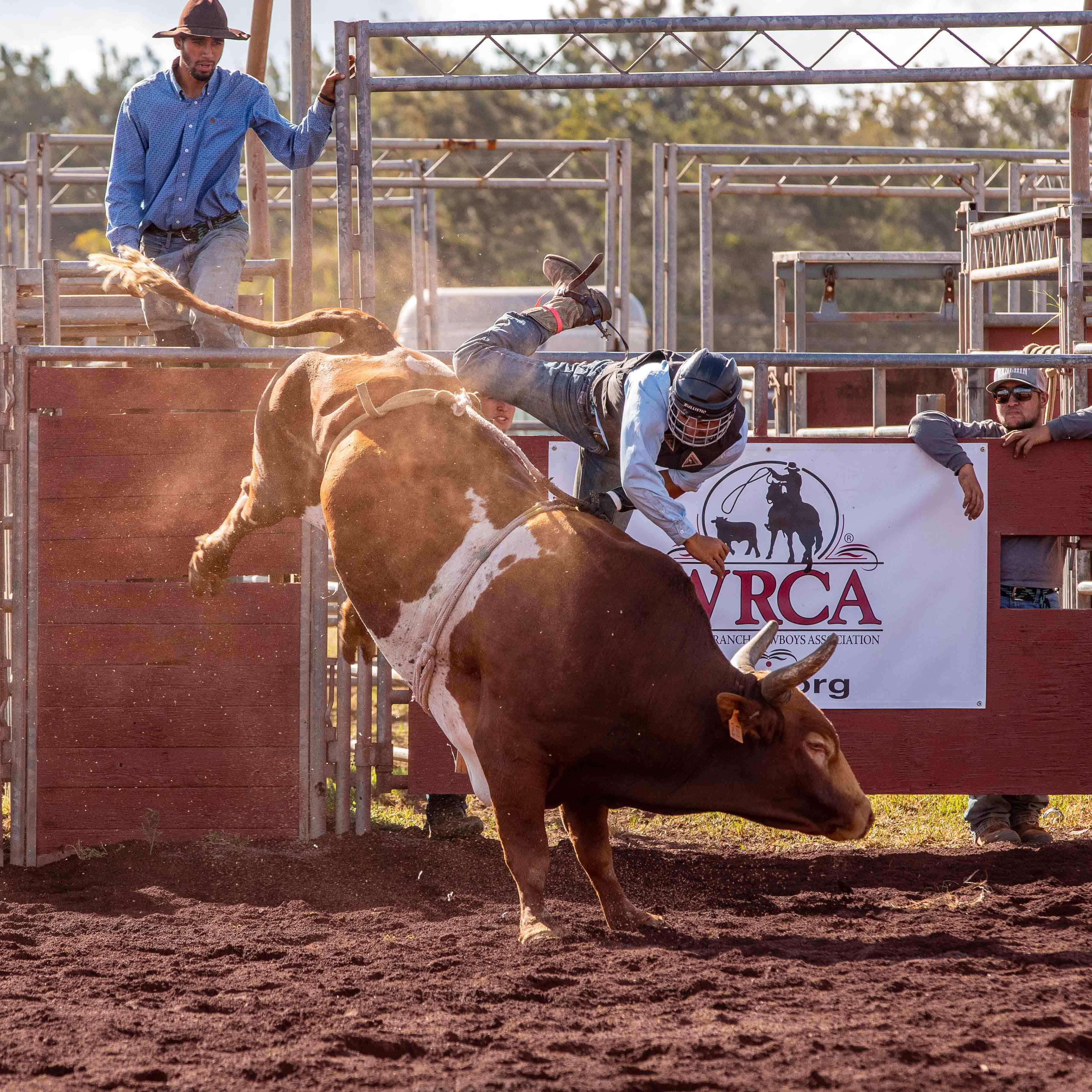 Labor Day 2022 jpegs-194.jpg