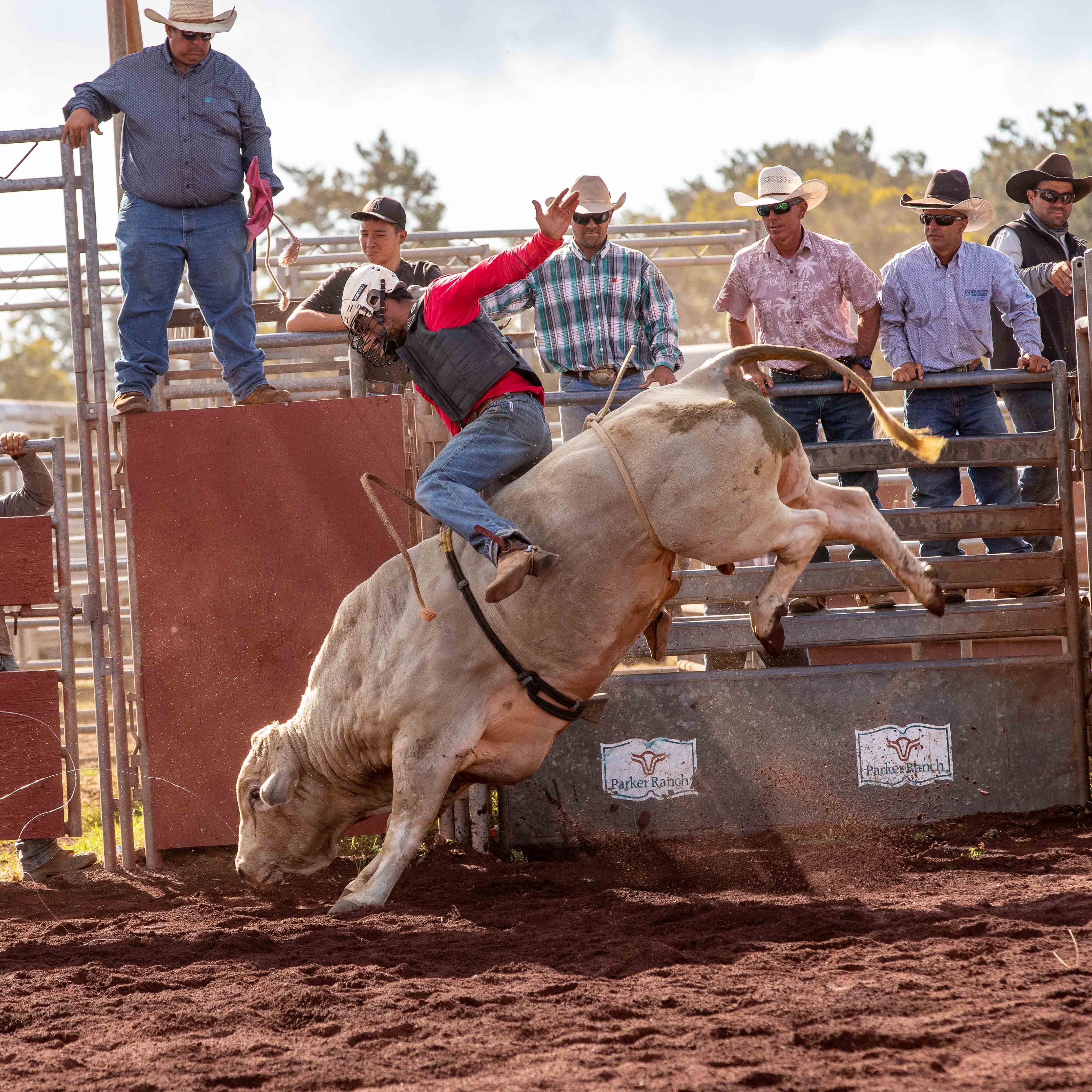 Labor Day 2022 jpegs-190.jpg