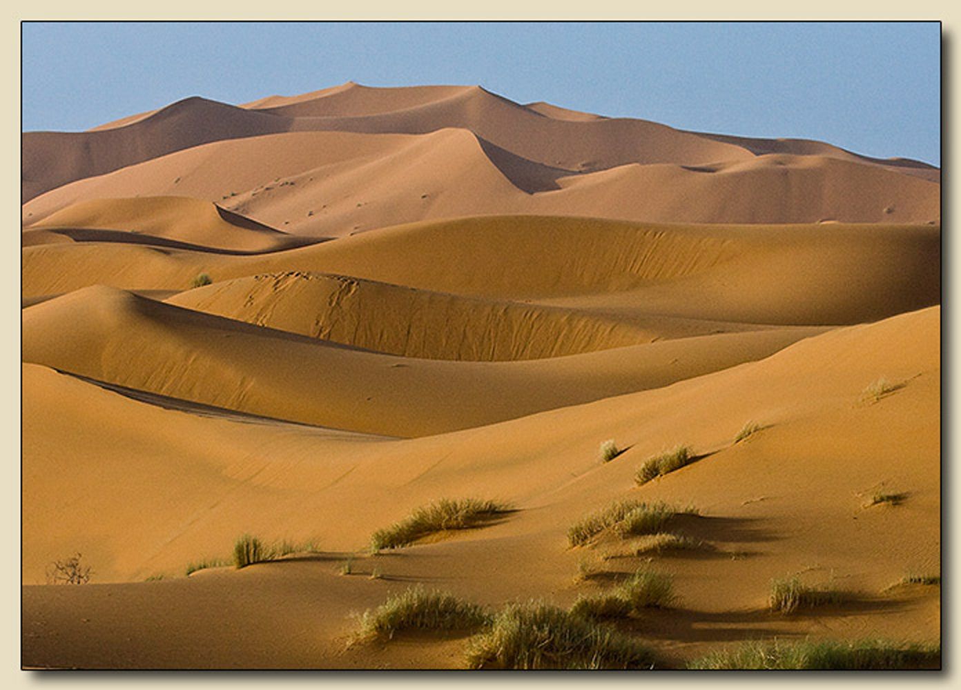 Sahara Desert, Morocco                              
                                                                                      2014 North American Nature Photography Association Showcase, Semi-Finalist - 2013                               
                                                                             
Citibank, Pinecrest, Florida - May 2010 Exhibition Sahara Sunrise