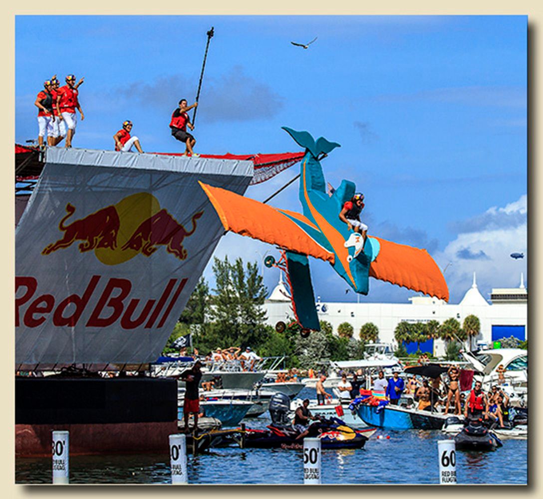 2013 National Red Bull Flugtag Miami, Miami, Florida Team 18 - Flying Phinatics