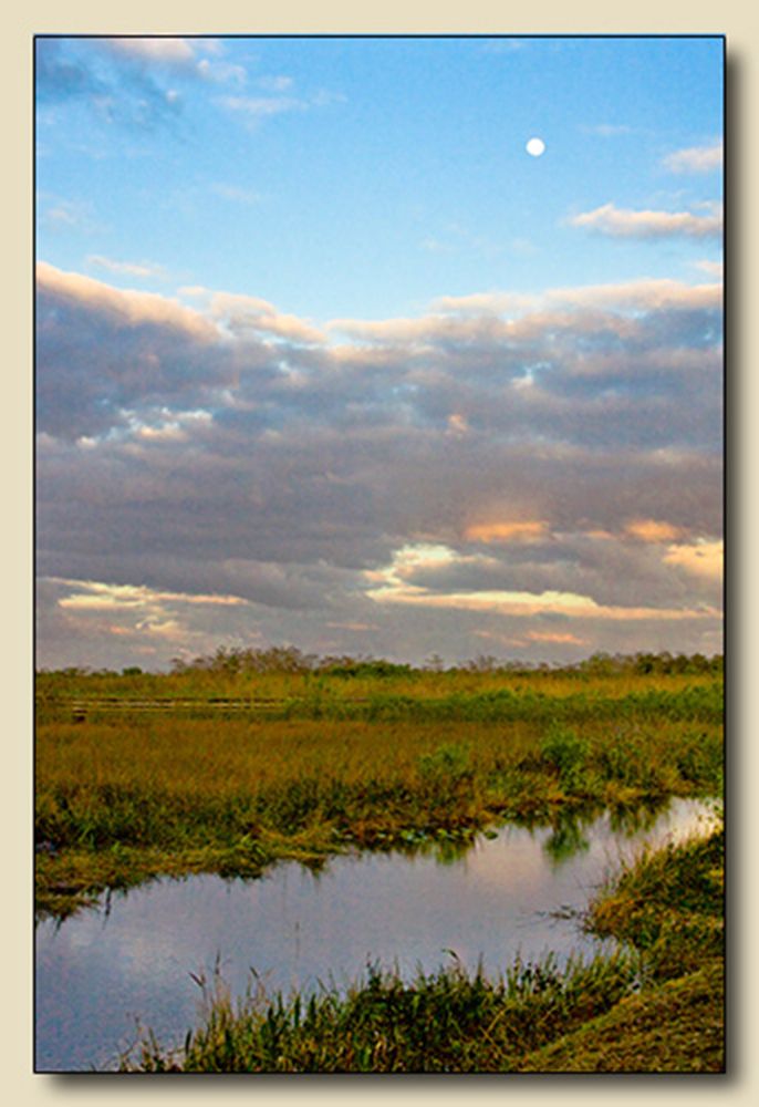 Everglades National Park, Homestead, Florida Everglades Moon