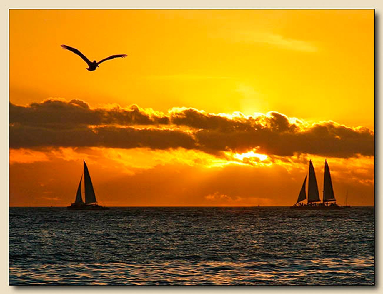 Key West, Florida                                              
                                                                                     2010 International Photography Awards Competition, Honorable Mention, Nature-Sunset Category Key West Sunset II