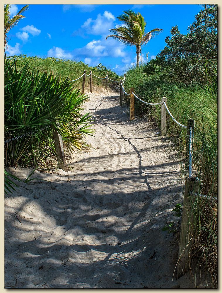 Miami Beach, Florida The Sandy Path