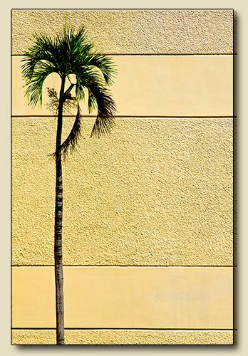 West Palm Beach, Florida         
                                                                  "International Contemporary Masters" Volume 7, World Wide Art Books: Premium two page spread containing four images, 2013 Linear Vegetation