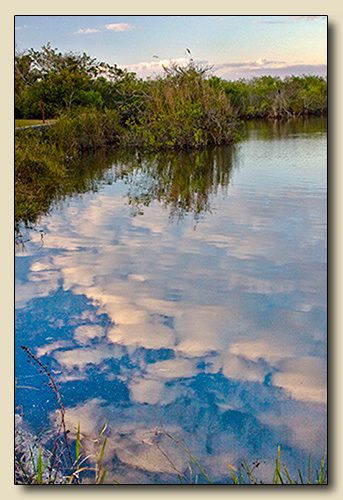 Anhinga Trail at Royal Palm, Everglades National Park, Homestead, Florida   
                                                                        
Everglades National Park Ernest Coe Visitors Center Everglades Day Exhibition - 2009 Reflections