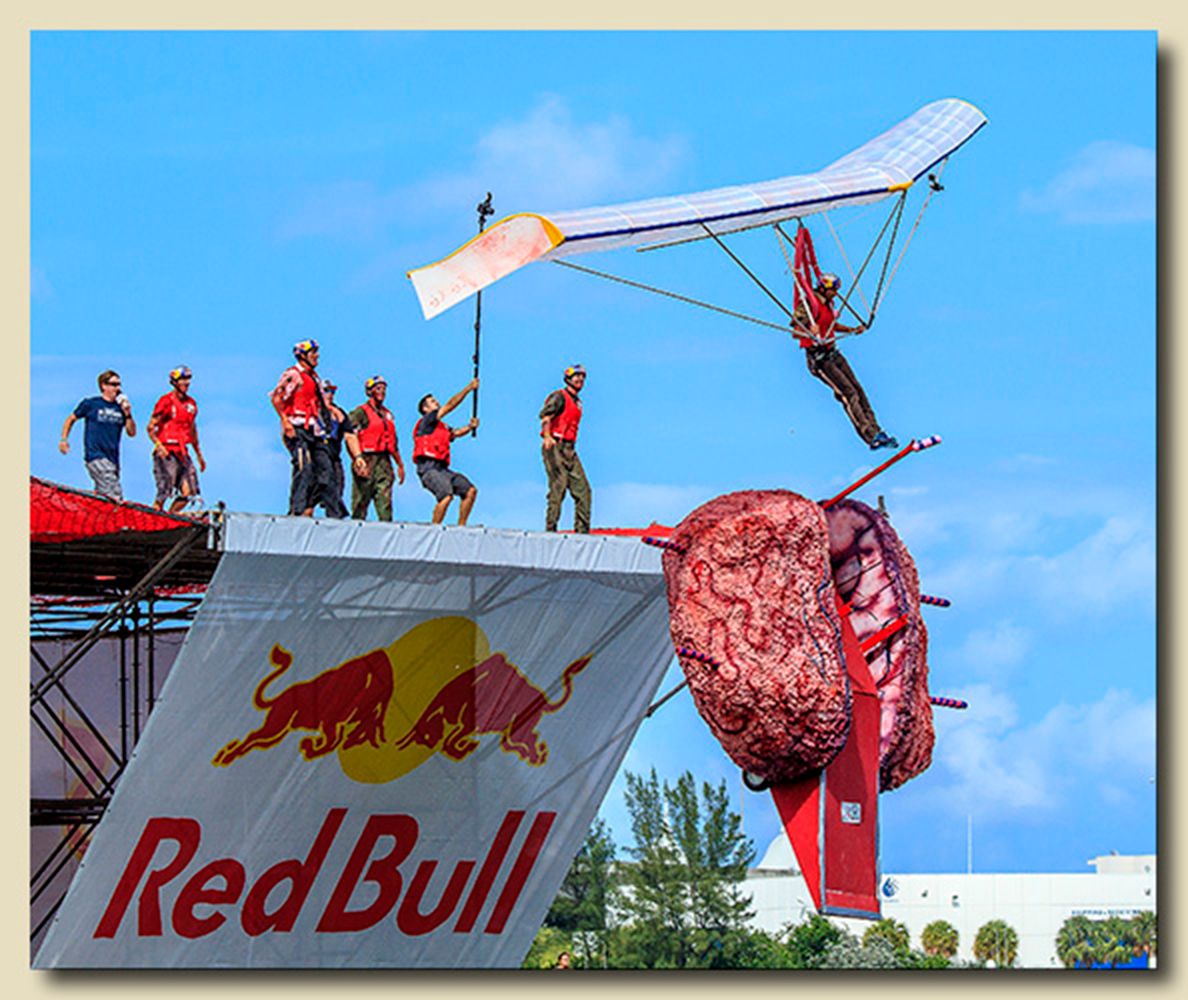 2013 National Red Bull Flugtag Miami, Miami, Florida Team 14 - Flugtag Flying Dead