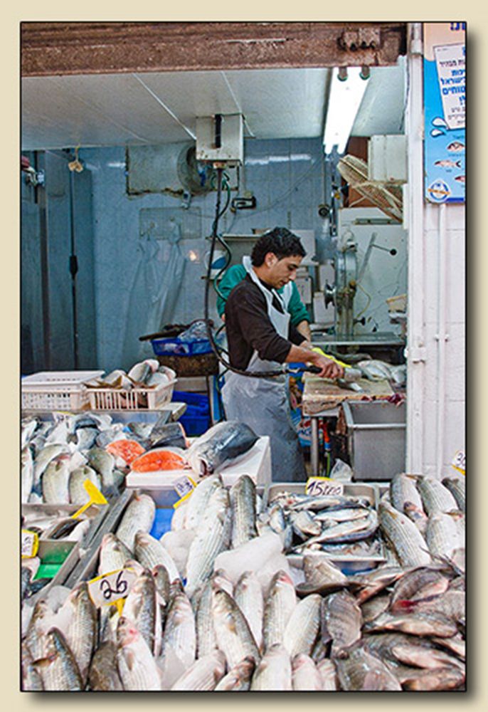 Jerusalem,                                                            
                                                                                     Israel Exhibit Bet Shira Congregation, Pinecrest, Florida May 2011 Fishy