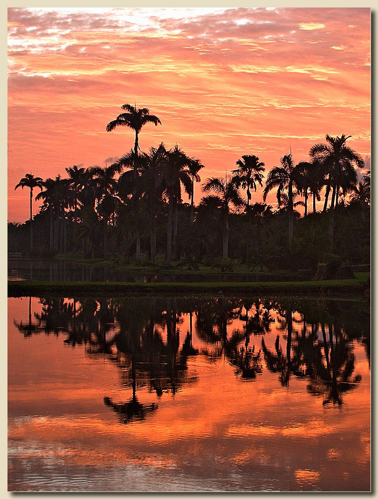 Fairchild Tropical Botanic Garden, Coral Gables, Florida Fairchild Sunrise