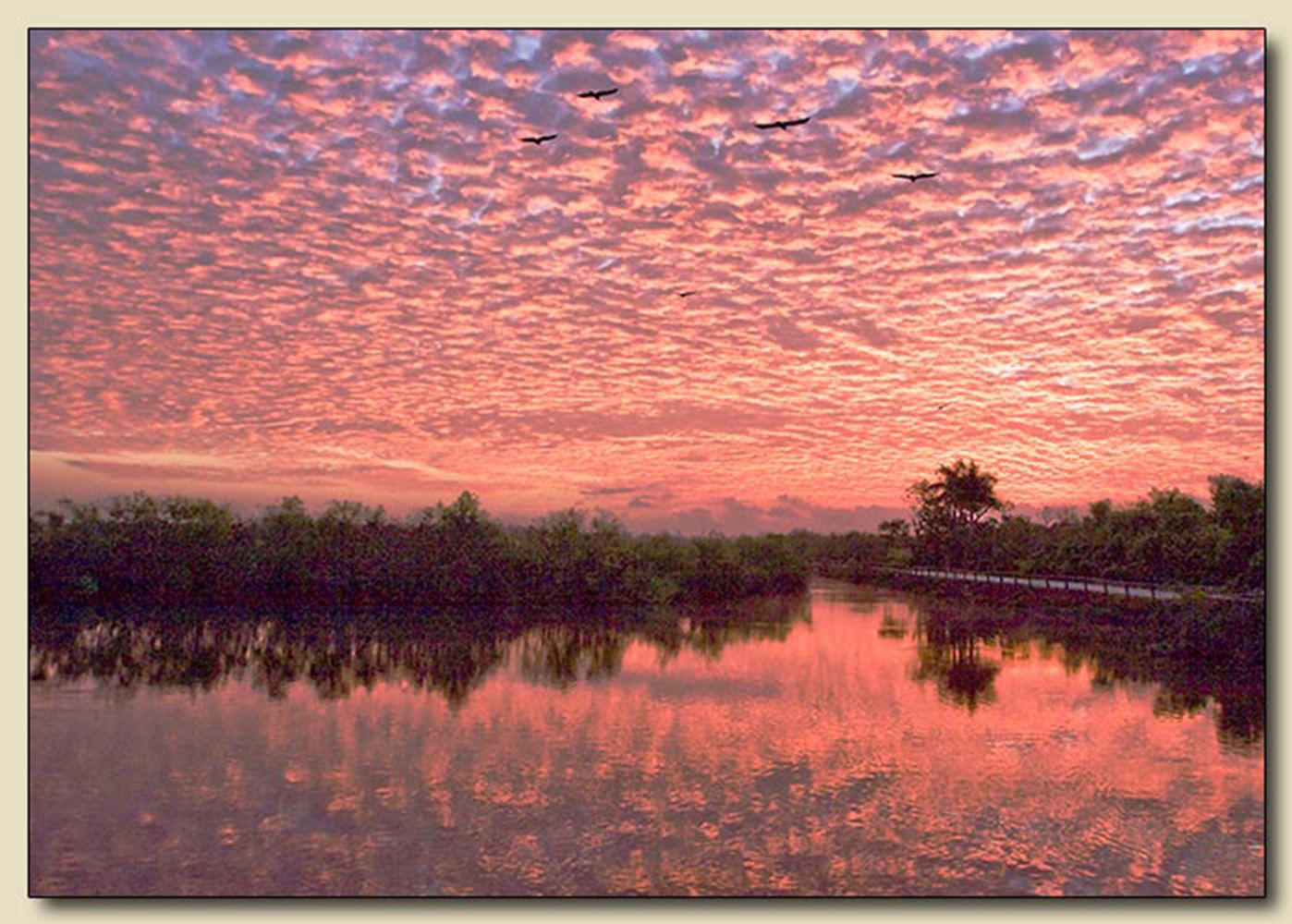 Everglades National Park, Homestead, Florida                                                                       
                                                                                      Palm Beach Post's 3rd Annual Focus on Nature Photography Contest, Honorable Mention in the Landscape Category - 2007 Everglades Sunrise