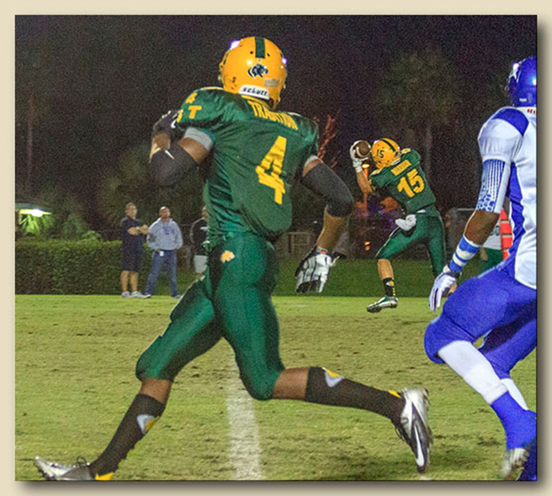 Catch by Anthony Olivencia (15)