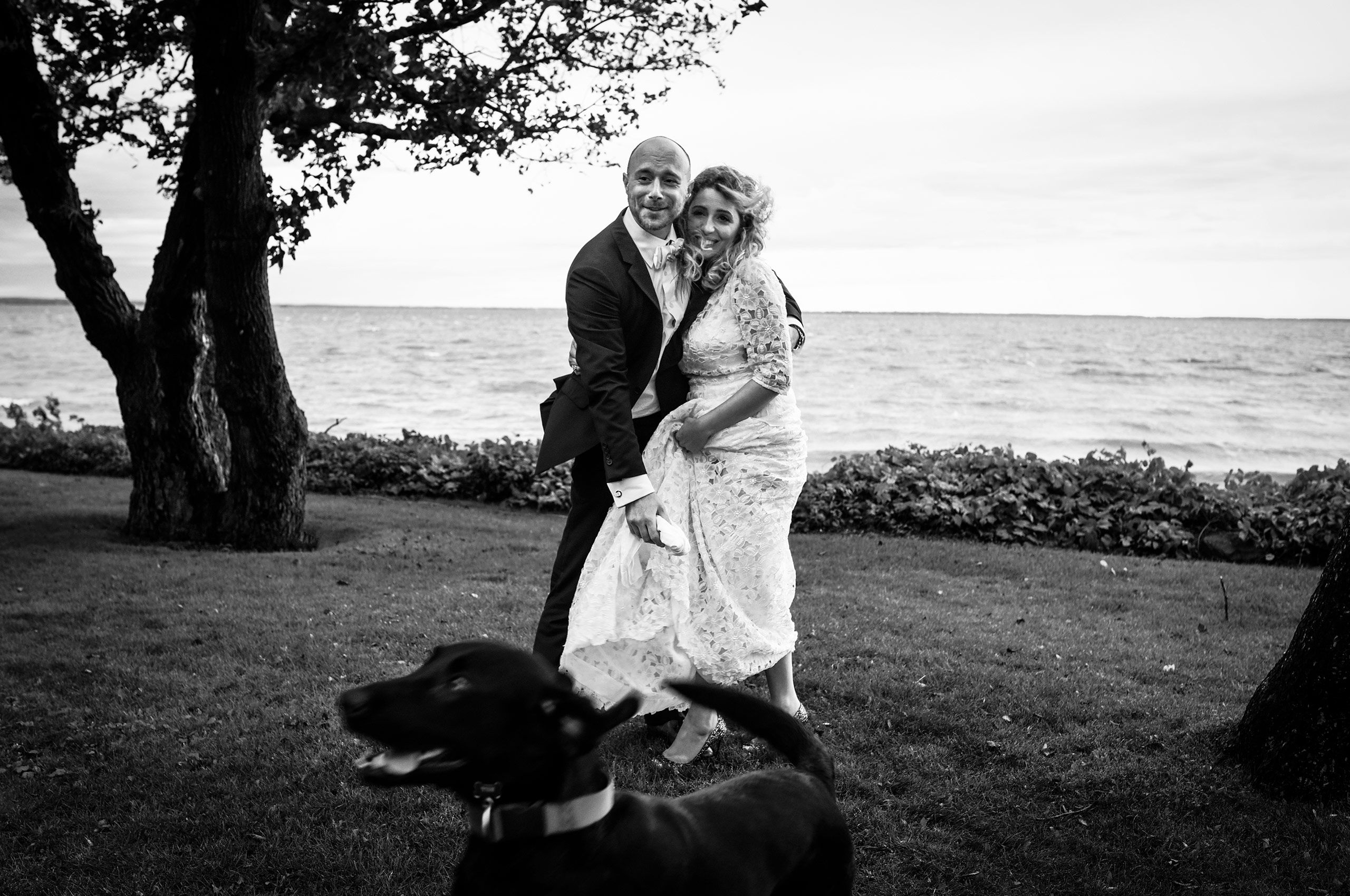 newlyweds-with-their-dog-wedding-reception